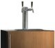Perlick® C-Series Panel Ready 24" Free Standing Beer Dispenser-1