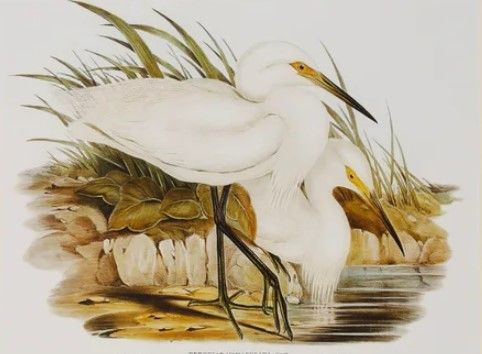 Stylecraft Waterbird Pairing I Beige/Brown/Green/Yellow Wall Art-1