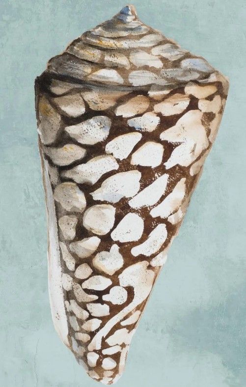 Classy Art Modern Shell on Teal II by Patricia Pinto Wall Art-1