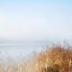 Classy Art Enjoy Lovely Nature by Irene Weisz Wall Art-1