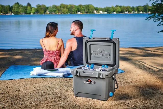 Napoleon 15 L Gray Cooler Box-3