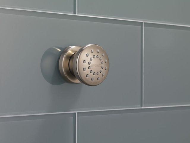Brizo Essential™ Brilliance® Brushed Nickel Touch-Clean® Round Body Spray-4