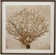 Bassett Mirror Neutral Seafan Framed Print Wall Art-0