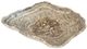A & B Home Tomas Gray Hand-Carved Onyx Bowl-0