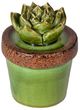 A & B Home Brown/Green 5" Ceramics Plant Decorative Object-1