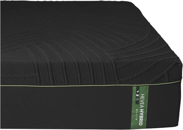 Dreamstar Bedding Genesis Collection Hevea 14" Hybrid Soft Smooth Top Twin Mattress-3