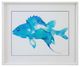 Bassett Mirror Watercolor Fish I Framed Print-0