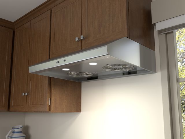Zephyr Core Collection Cyclone 42" Stainless Steel Wall Ventilation-1