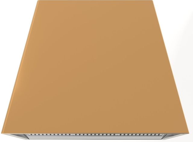 XO 48" Satin Gold Insert Range Hood -0