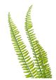 A & B Home Green Artificial Plants Boston Fern Bush-1