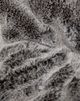 CordaRoy's® Chinchilla Queen Bean Bag Cover -1