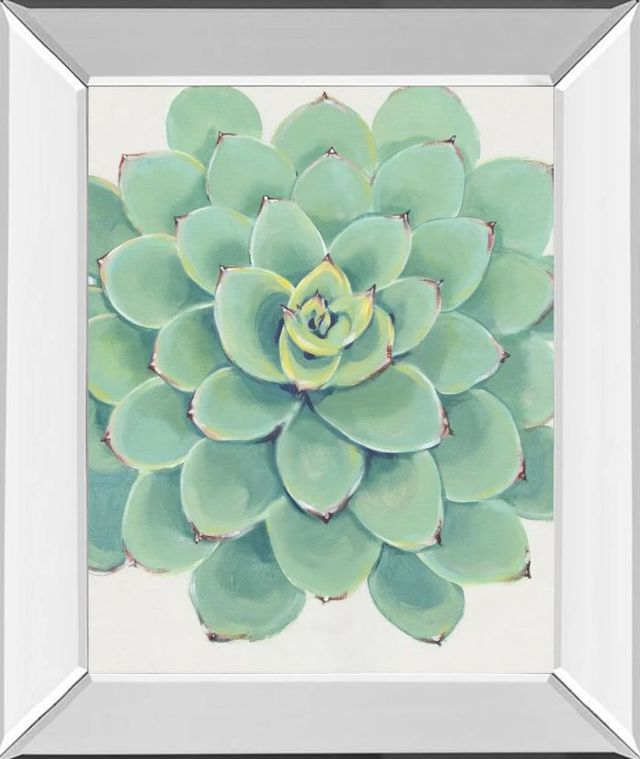 Classy Art Pastel Succulent III by Tim OToole Mirror Framed Wall Art-0