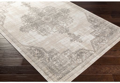 Surya Rafetus Multi-Colored 5'x8' Area Rug-1