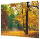 YHD Abscission's Path Wall Art-1