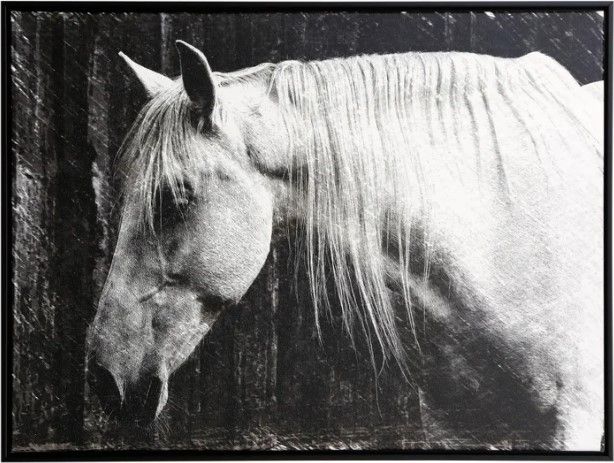 Stylecraft Norman Wyatt Manufactured Canvas -0