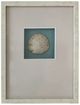 Crestview Collection Beachcomber's Find 3-Piece White Wall Art Set-2