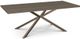 Amisco Customizable Asterisk Ash 84" Rectangular Table with Metal Stand-0
