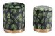 Zuo® Botanical Green Ottoman Storage Set-4