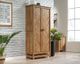 Sauder® Cannery Bridge® Sindoori Mango® Storage Cabinet-4
