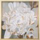 Stylecraft White Foliole Light Gray/White Wall Art-0
