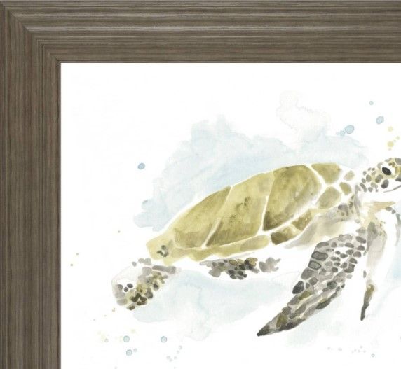 Classy Living June Erica Vess Watercolor Sea Turtle Study I Wall Art-1