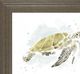 Classy Living June Erica Vess Watercolor Sea Turtle Study I Wall Art-1