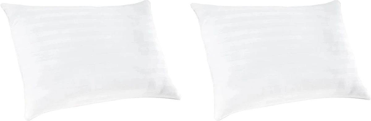 Sierra Sleep® By Ashley® Zephyr White Pillow