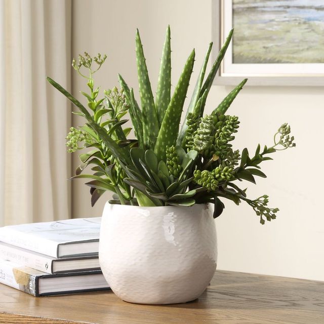 Uttermost® Sundown Succulent Green/White Accent Planter-1