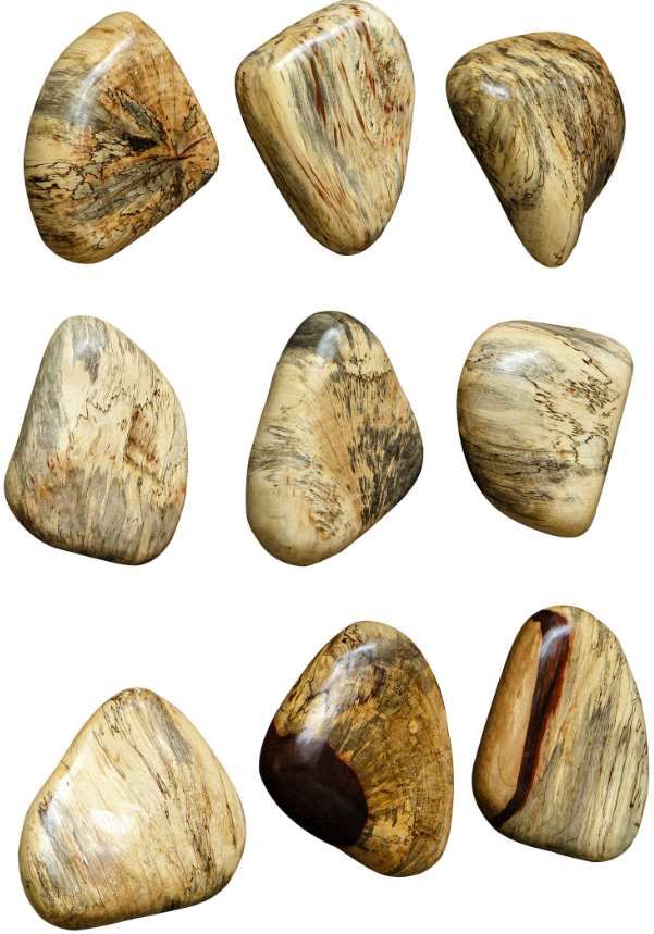 Uttermost® Pebbles 9-Piece Natural Blonde Wall Decor Set-3