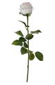 A & B Home Cream Real Touch Rose Stem-0