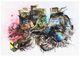 YHD Root Village Canvas-0