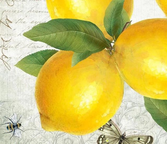 Classy Art Postcard Lemons by K. Donovan Wall Art-1