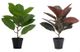 A & B Home 2-Piece Green/Red Artificial Elephant Leaf with Plastic Pot Set-0