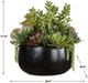 Uttermost® Mico Black/Green Succulent Centerpiece-3