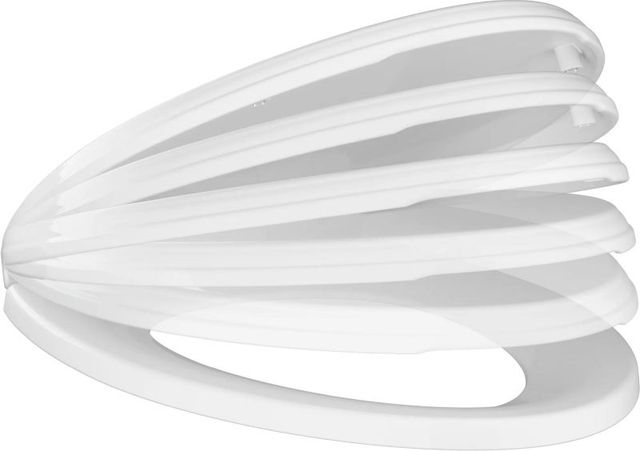 DELTA Wycliffe® White Elongated Slow-Close Toilet Seat-1