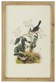 A & B Home 4-Piece Brown Bird Framed Print Wall Art Set-3