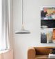 Renwil® Viola-May Grey Pendant Light-5