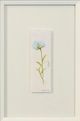 Stylecraft Tamara Day for StyleCraft The Garden III Wall Art-2