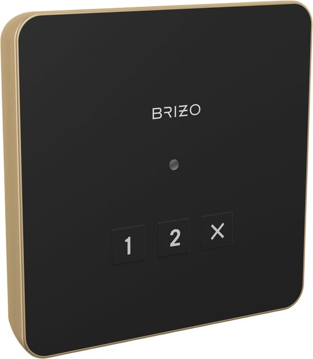 Brizo Mystix™ Lumicoat® Luxe Gold® Elemental Square Exterior Control-0