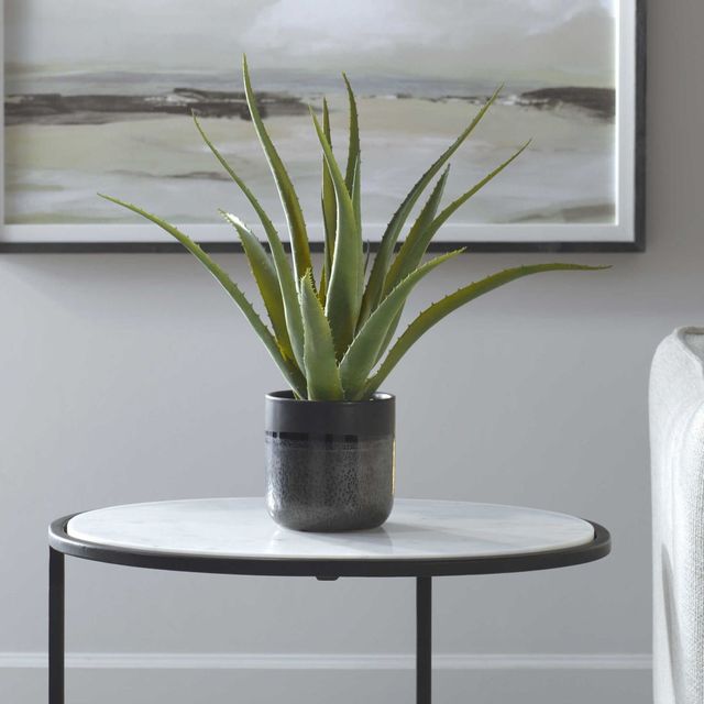 Uttermost® Tucson Gloss Glaze Aloe Planter-1