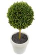 A & B Home 3-Piece Green Potted Boxwood Topiaries Set-2
