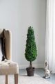 A & B Home Brown/Green Boxwood Tree-3