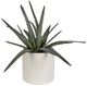 Uttermost® Taos Green/Ivory Aloe Centerpiece-0