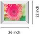 Classy Living Susan Bryant Pink Gerbera Wall Art-2
