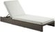 ACME Furniture Salena Beige/Gray Fabric/Wicker 11" Outdoor Patio Sun Lounge-0