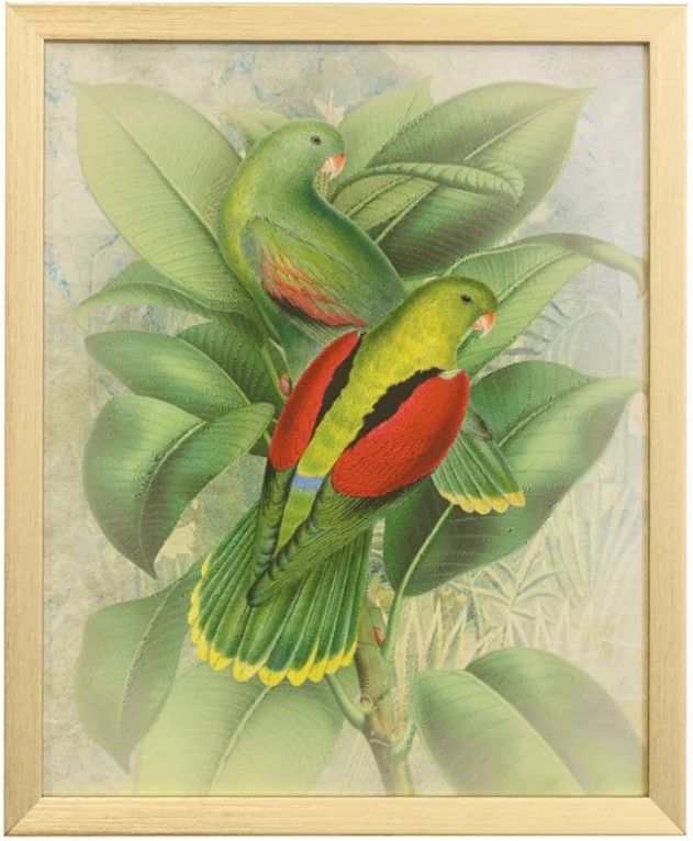 Stylecraft Tamara Day for Stylecraft Naturalist Archive VI Wall Art-0