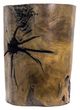 YHD Brown 12" Side Table-2