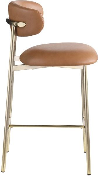 Meridian Furniture Lupita Cognac/Brushed Gold Counter Stool-2