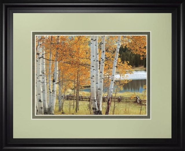 Classy Art Birch Beauty by Mike Jones Wall Art-0