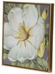 A & B Home 4-Piece Gold/White Flower Wall Art Prints Set-4
